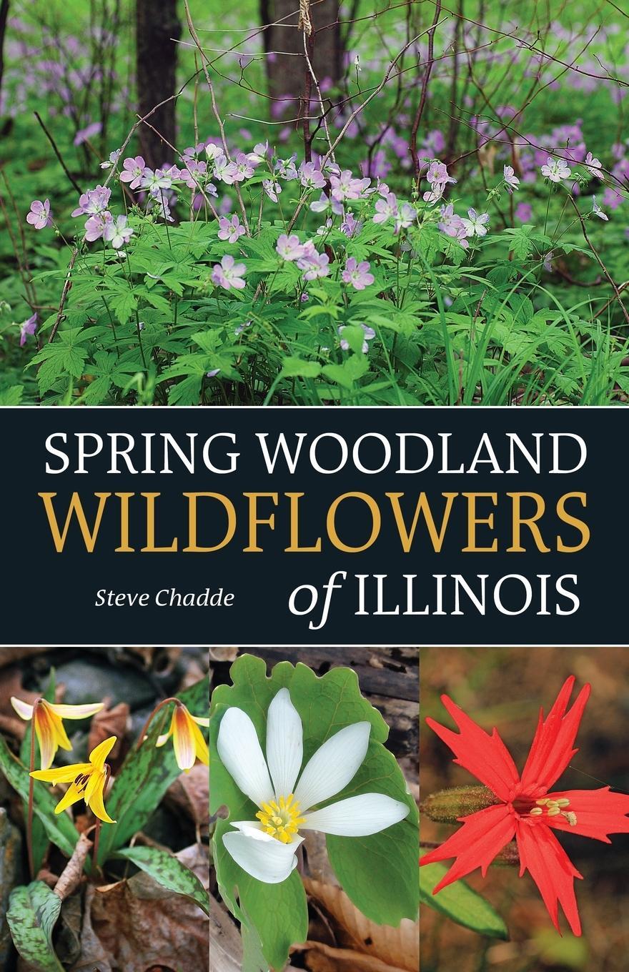 Cover: 9781951682569 | Spring Woodland Wildflowers of Illinois | Steve Chadde | Taschenbuch