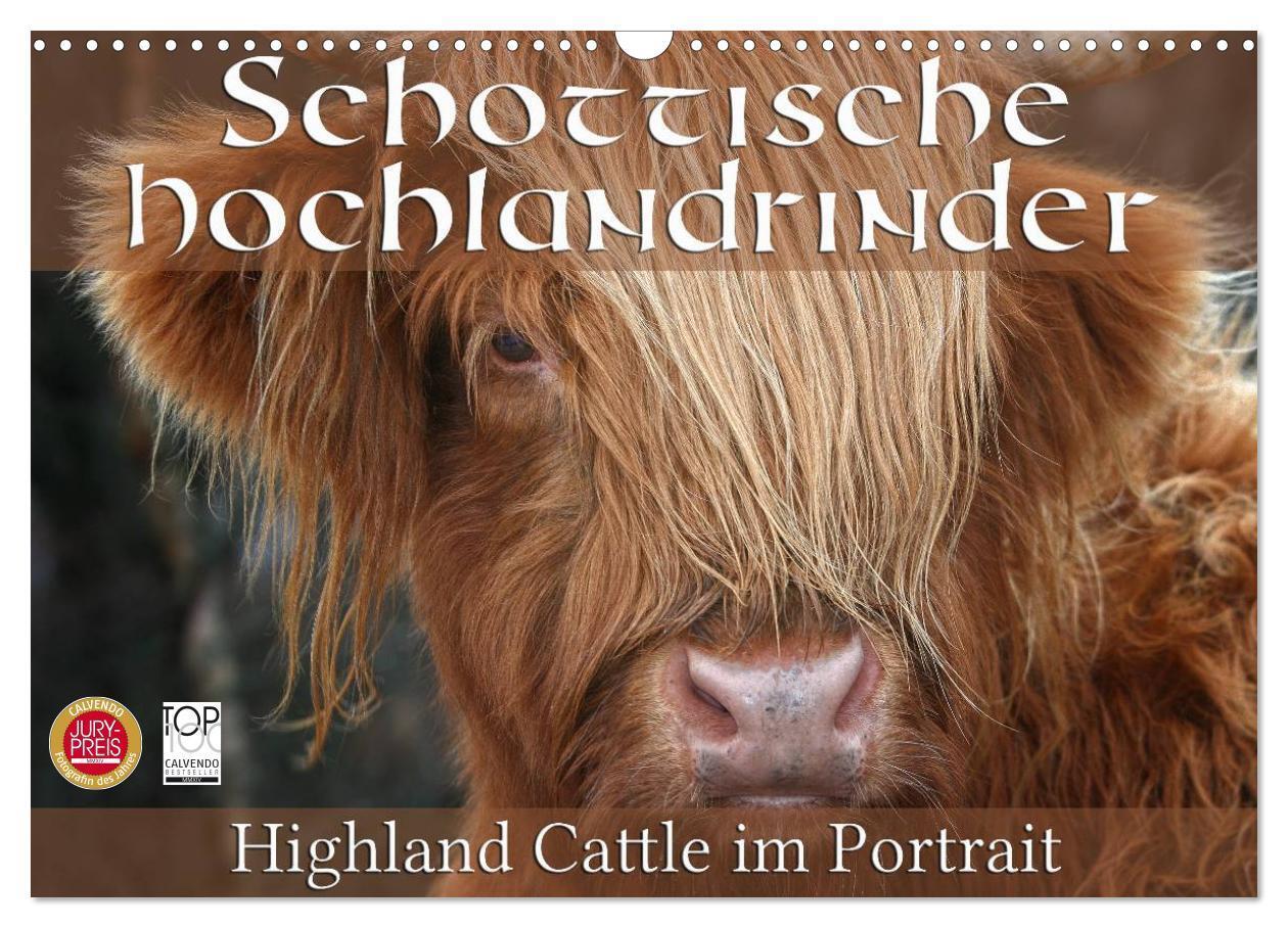 Cover: 9783675704213 | Schottische Hochlandrinder - Highland Cattle im Portrait...