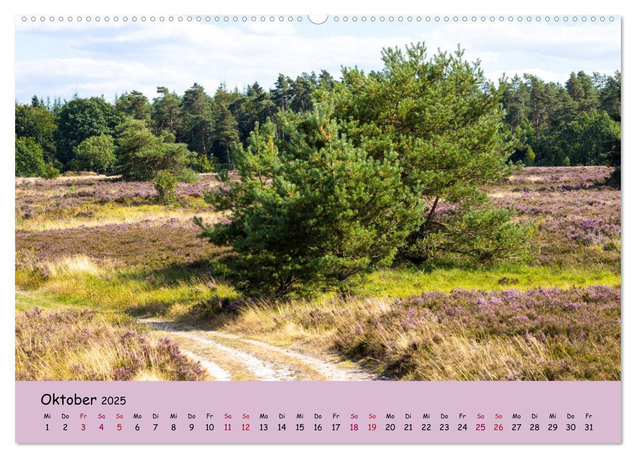 Bild: 9783435029747 | Lüneburger Heide Wege (Wandkalender 2025 DIN A2 quer), CALVENDO...