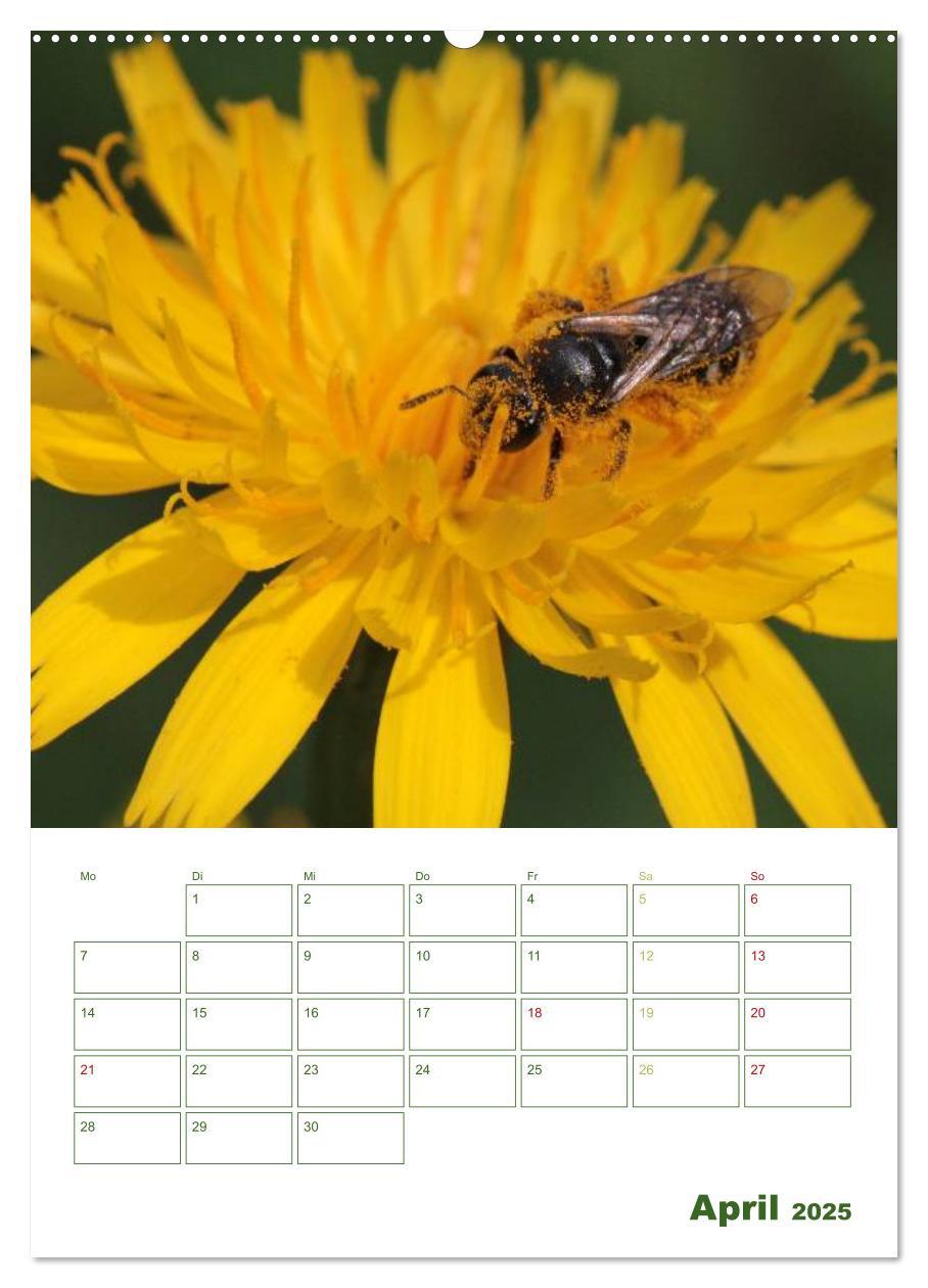 Bild: 9783457030011 | Bienen-Terminplaner 2025 (Wandkalender 2025 DIN A2 hoch), CALVENDO...