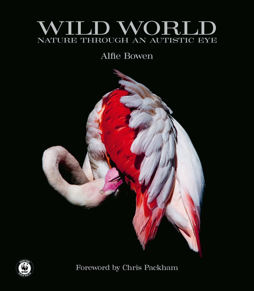 Cover: 9781788841238 | Wild World | Nature through an autistic eye | Alfie Bowen | Buch