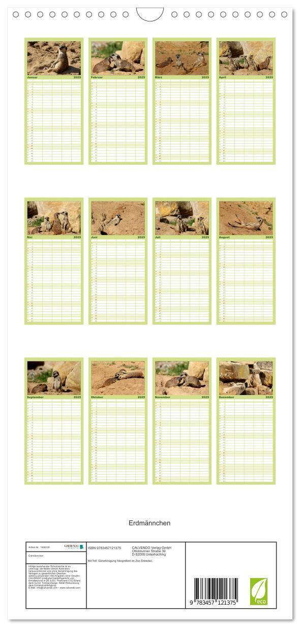 Bild: 9783457121375 | Familienplaner 2025 - Erdmännchen mit 5 Spalten (Wandkalender, 21 x...