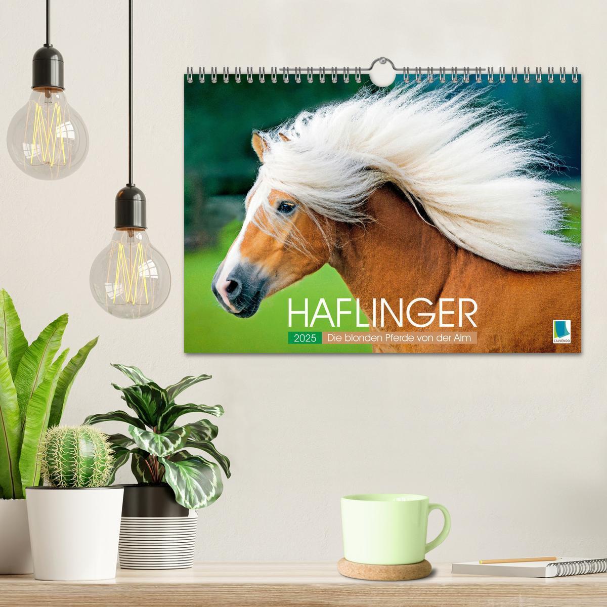 Bild: 9783457184974 | Haflinger: Die blonden Pferde von der Alm (Wandkalender 2025 DIN A4...