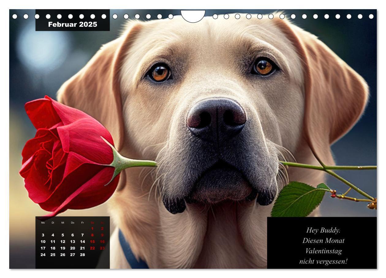 Bild: 9783435368617 | Der witzige Labrador-Kalender (Wandkalender 2025 DIN A4 quer),...