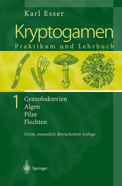 Cover: 9783642630569 | Kryptogamen 1 | Karl Esser | Taschenbuch | Springer