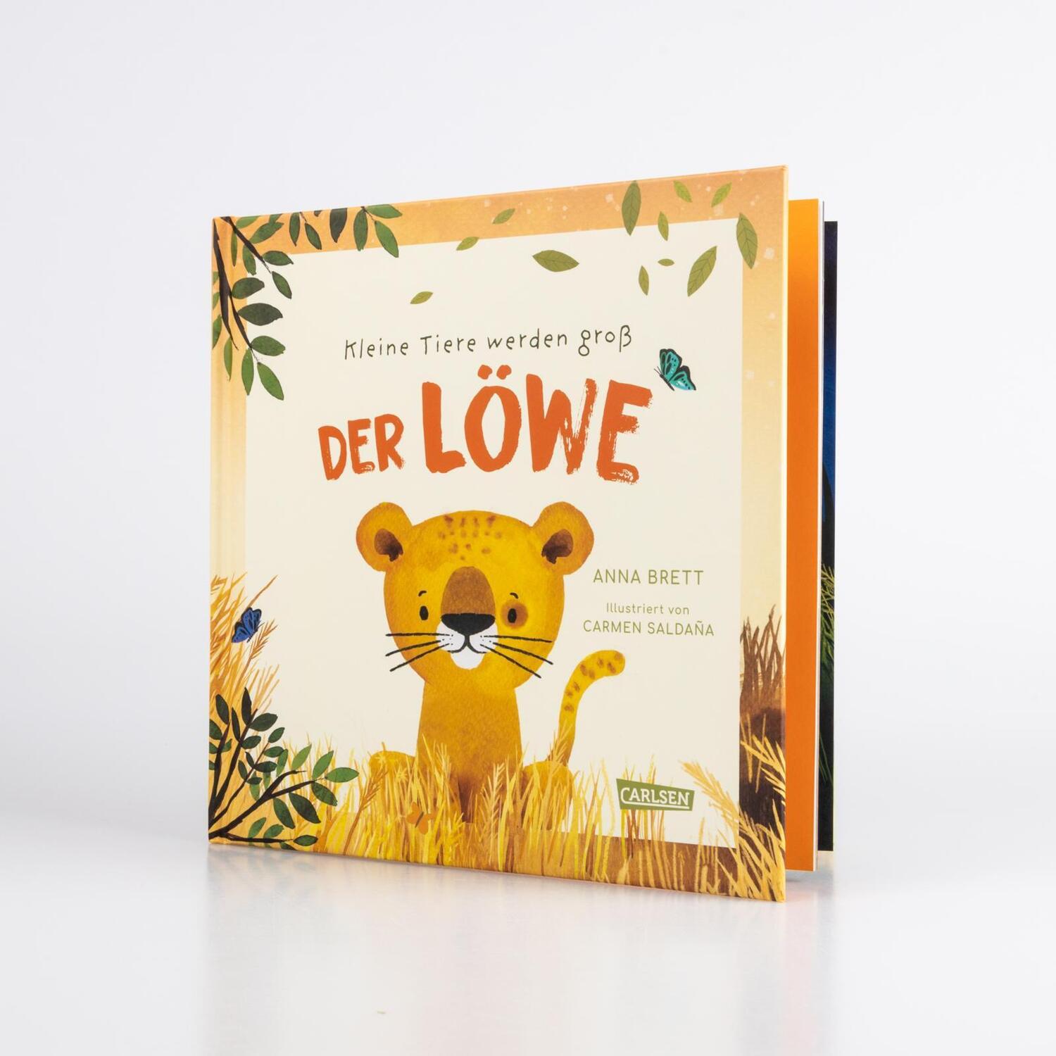 Bild: 9783551254986 | Kleine Tiere werden groß - Der Löwe | Anna Brett | Buch | 48 S. | 2023