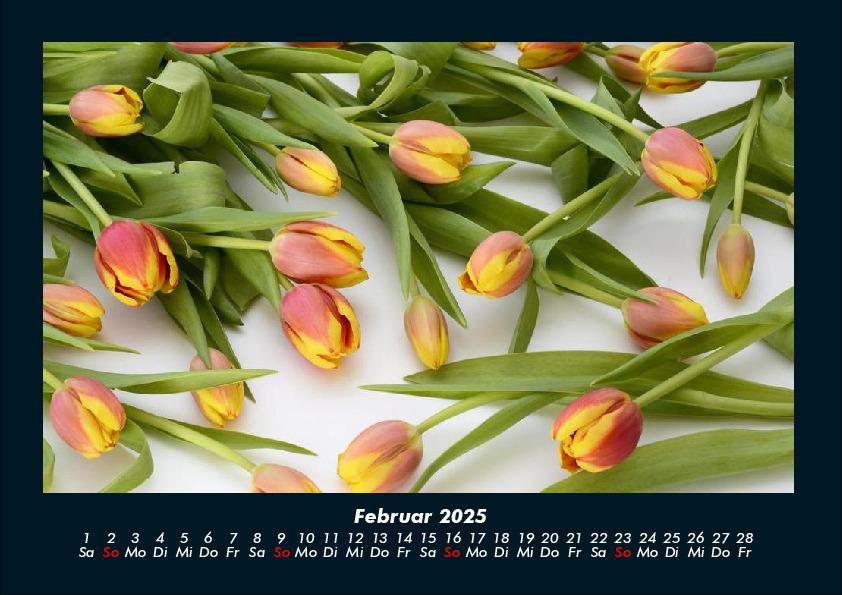 Bild: 9783755989172 | Blumenkalender 2025 Fotokalender DIN A4 | Tobias Becker | Kalender