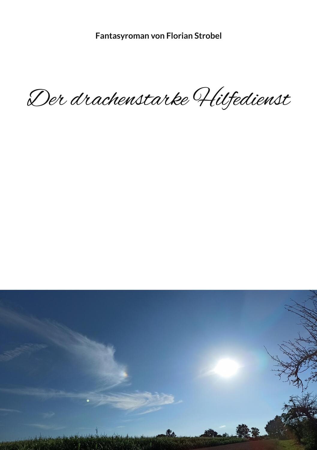 Cover: 9783756822164 | Der drachenstarke Hilfedienst | Florian Strobel | Taschenbuch | 2022