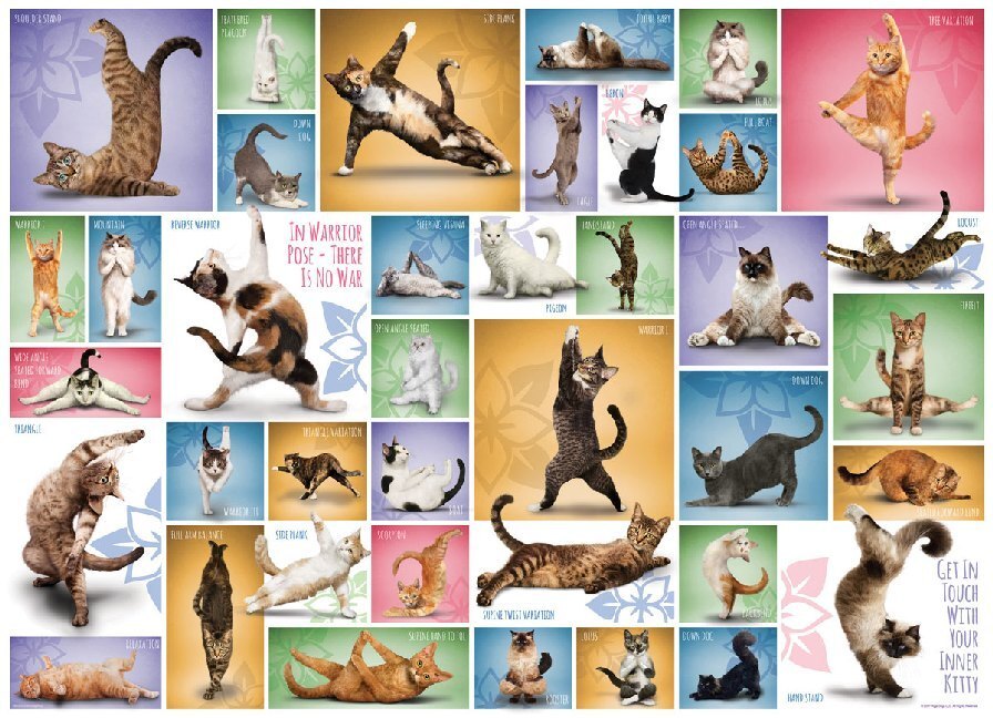 Cover: 628136609531 | Yoga Cats (Puzzle) | Spiel | In Spielebox | 609531 | 2018