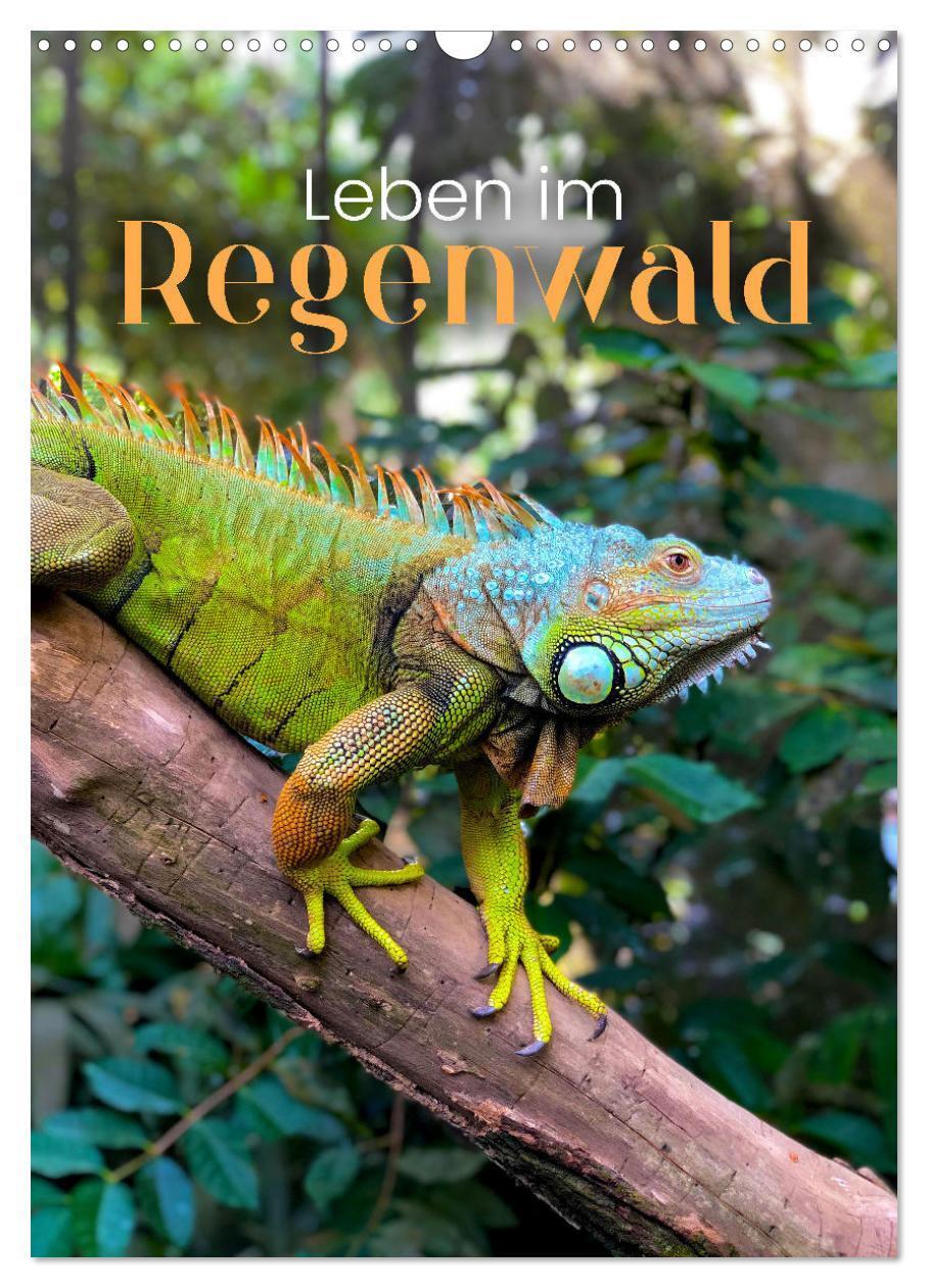 Cover: 9783675482463 | Leben im Regenwald (Wandkalender 2024 DIN A3 hoch), CALVENDO...