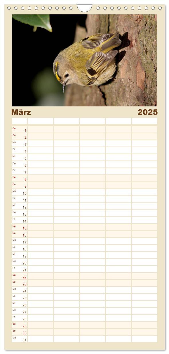 Bild: 9783457114438 | Familienplaner 2025 - Vögel ganz nah mit 5 Spalten (Wandkalender,...