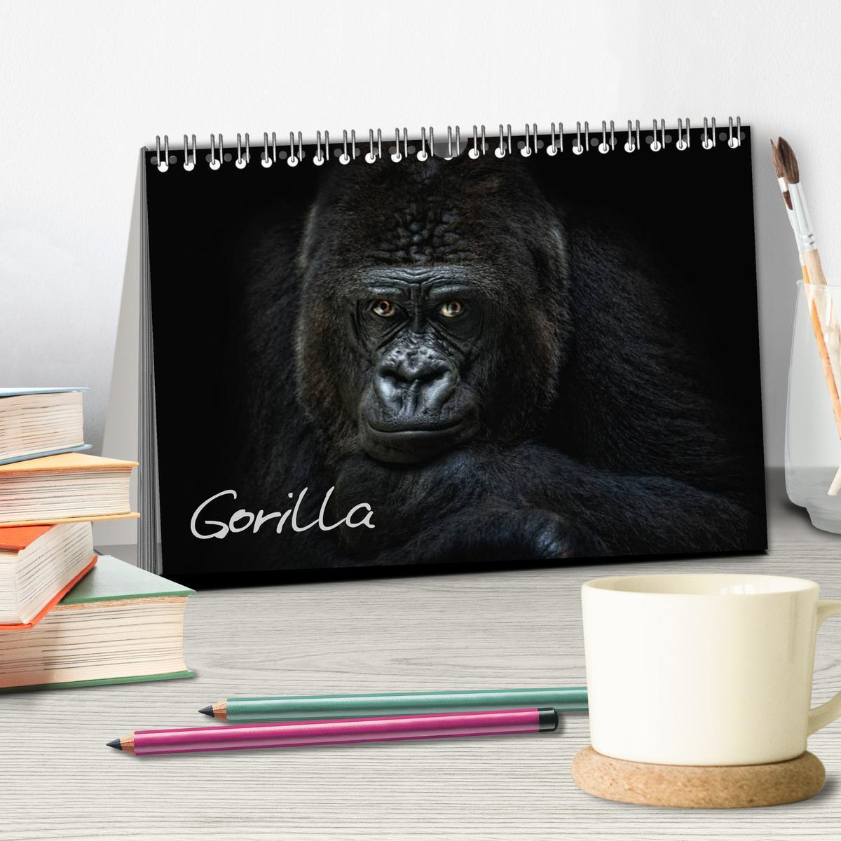 Bild: 9783435726028 | Gorilla (Tischkalender 2025 DIN A5 quer), CALVENDO Monatskalender