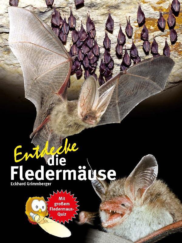 Cover: 9783866595026 | Entdecke die Fledermäuse | Eckhard Grimmberger | Buch | 64 S. | 2022