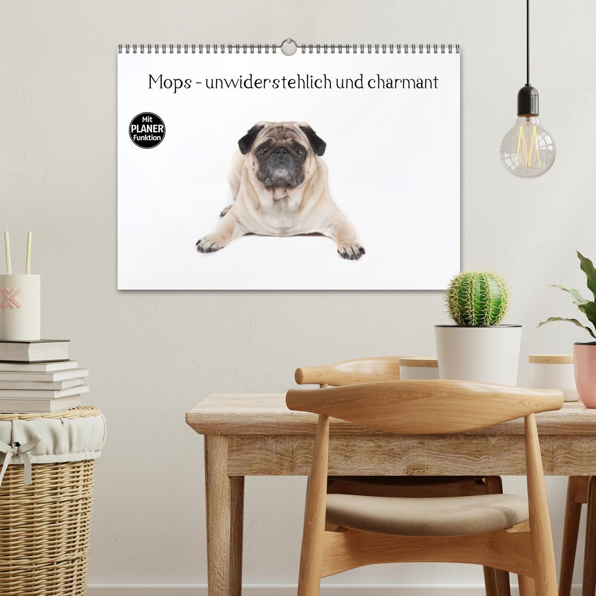 Bild: 9783435540242 | Mops - unwiderstehlich und charmant (Wandkalender 2025 DIN A3...