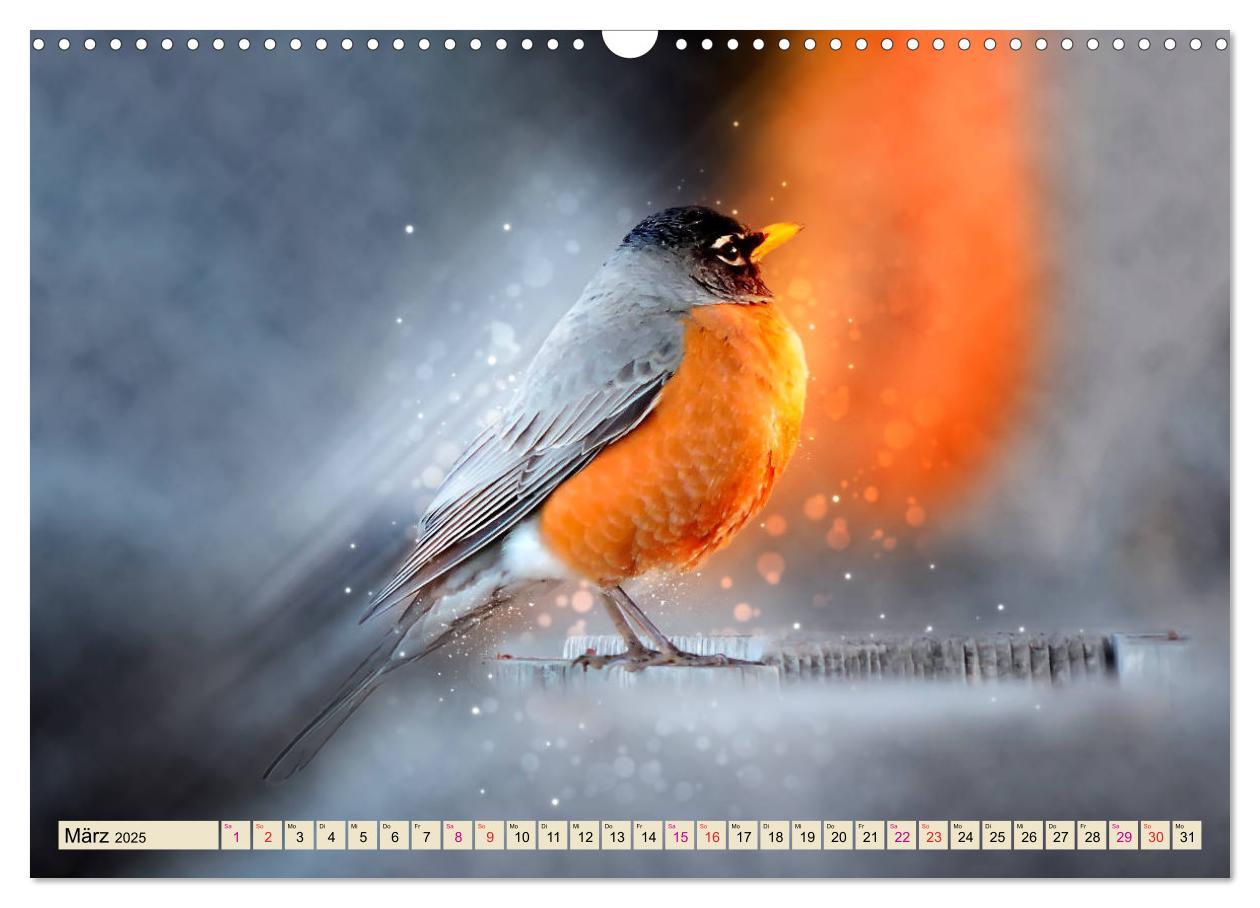 Bild: 9783435333646 | Bei uns im Garten - Rotkehlchen (Wandkalender 2025 DIN A3 quer),...