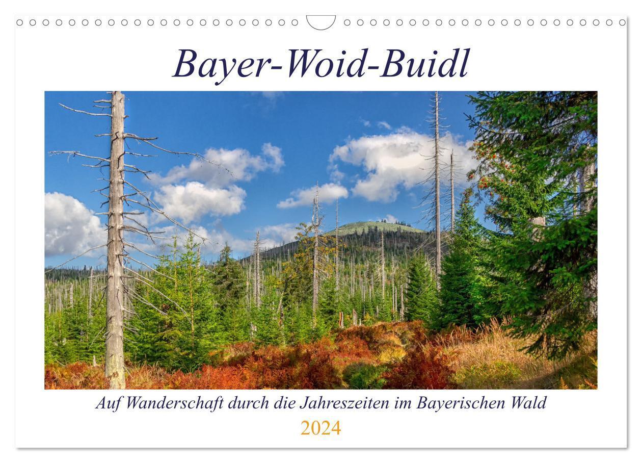Cover: 9783675505148 | Bayer-Woid-Buidl (Wandkalender 2024 DIN A3 quer), CALVENDO...