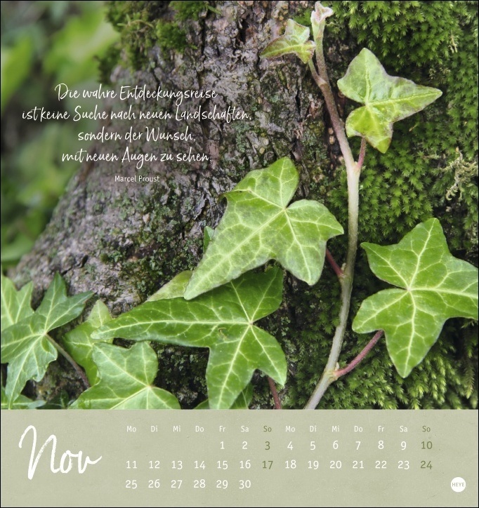 Bild: 9783756403073 | Unser Wald Postkartenkalender 2024. Beeindruckende Detailfotos in...