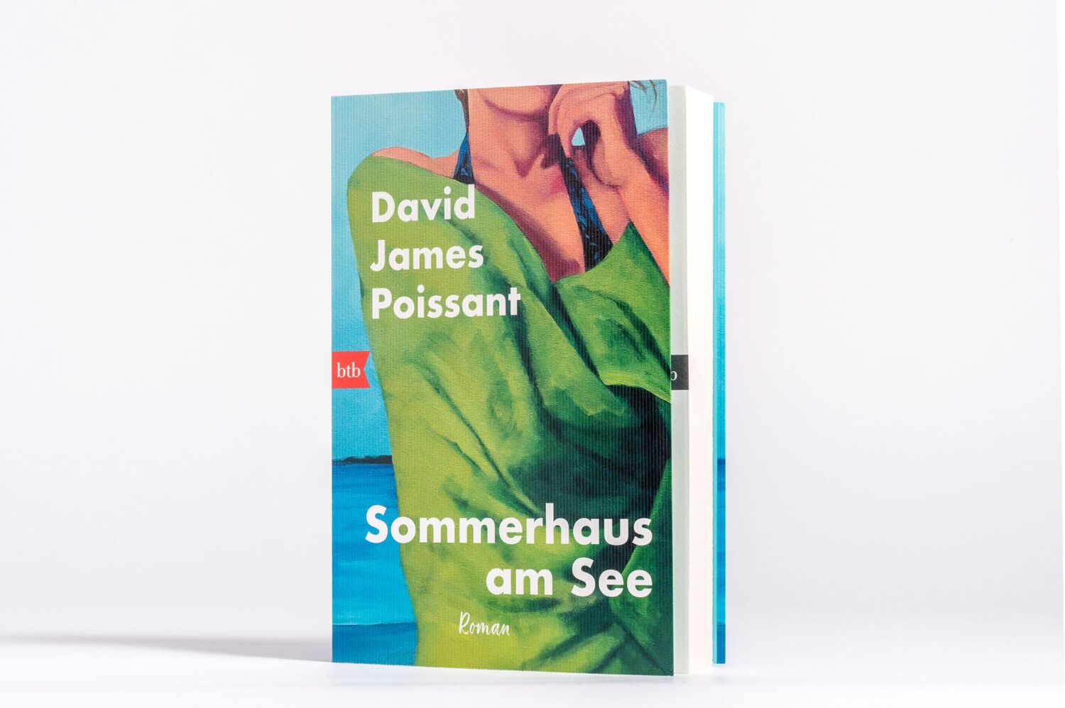 Bild: 9783442772636 | Sommerhaus am See | Roman | David James Poissant | Taschenbuch | 2024