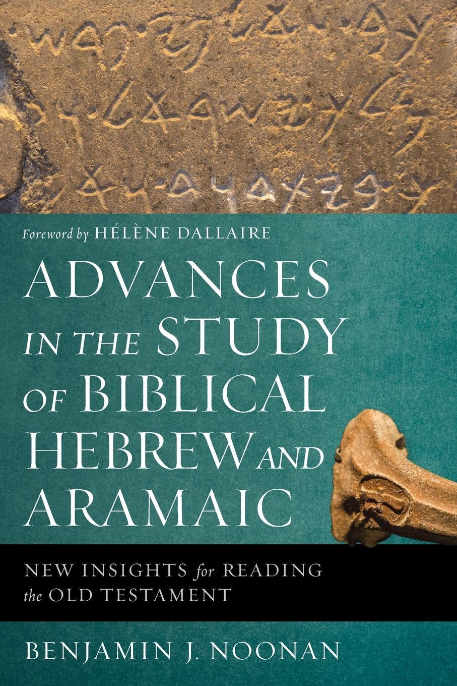 Cover: 9780310596011 | Advances in the Study of Biblical Hebrew and Aramaic | Noonan | Buch