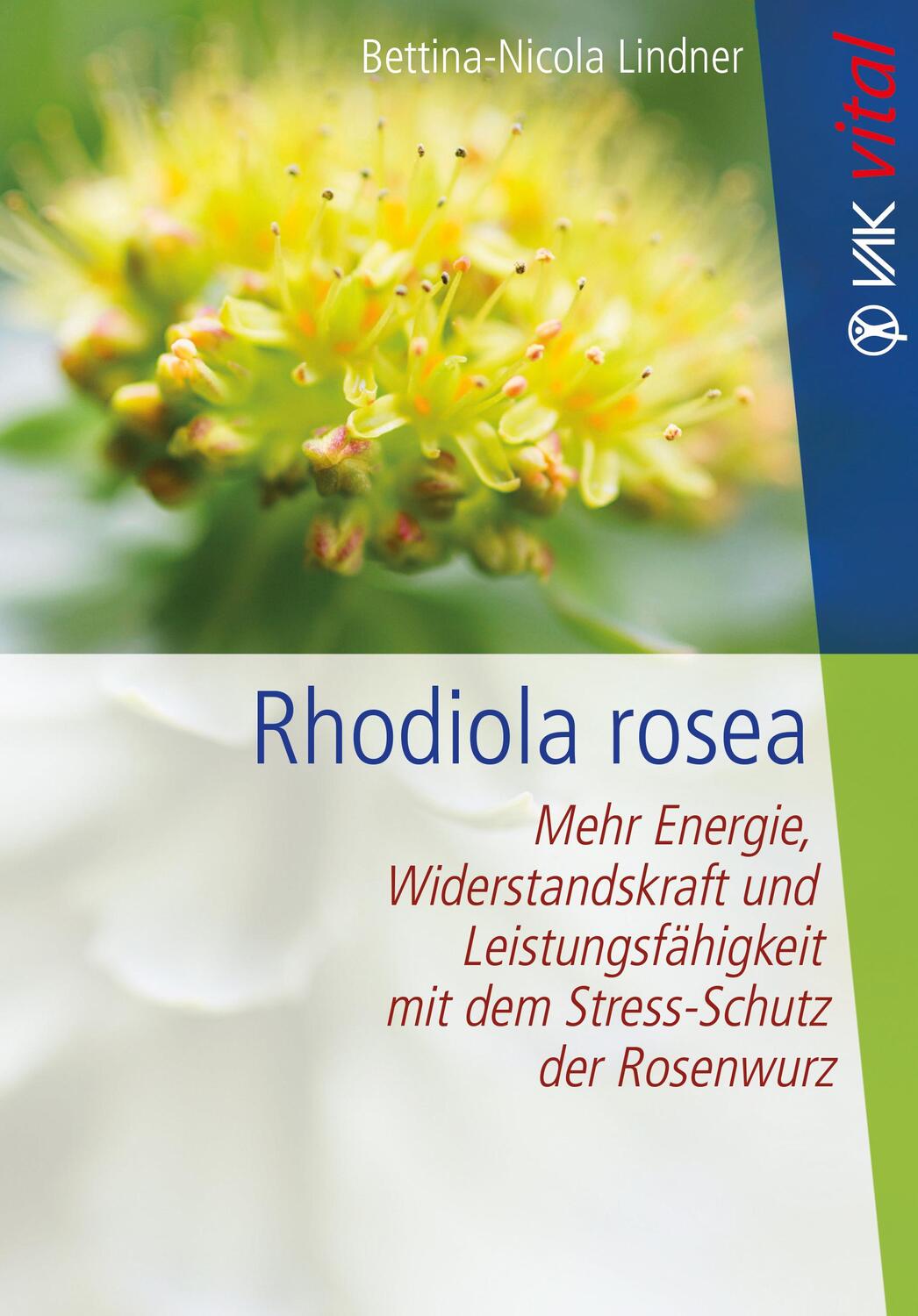 Cover: 9783867312011 | Rhodiola rosea | Bettina-Nicola Lindner | Taschenbuch | 112 S. | 2018