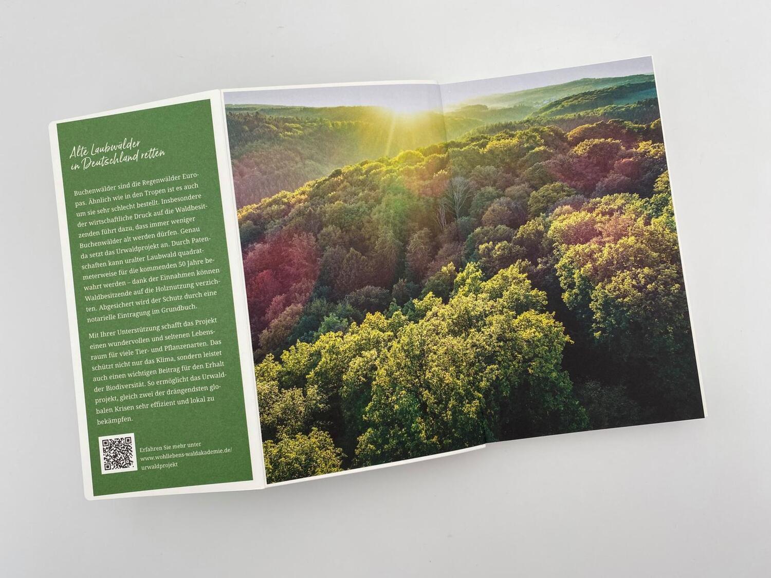Bild: 9783492277716 | Gebrauchsanweisung für den Wald | Peter Wohlleben | Taschenbuch | 2023