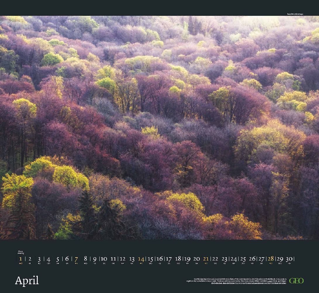 Bild: 4002725988454 | GEO Kalender: Sehnsucht Wald 2024 - Wand-Kalender - Natur-Kalender...