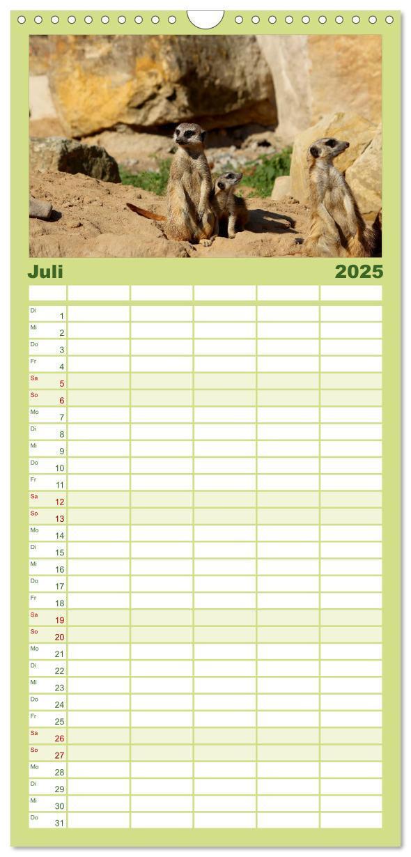 Bild: 9783457121375 | Familienplaner 2025 - Erdmännchen mit 5 Spalten (Wandkalender, 21 x...