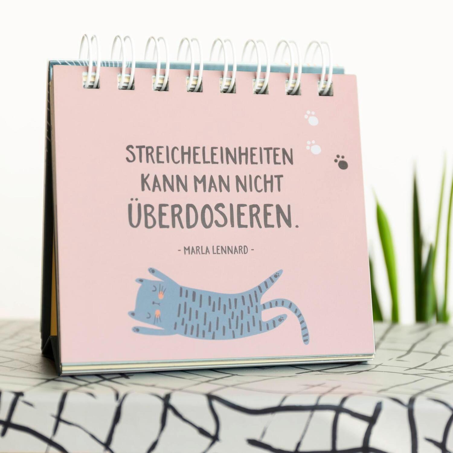 Bild: 9783848524143 | Cat philosophy | Entdecke die Katze in dir | Groh Verlag | Taschenbuch