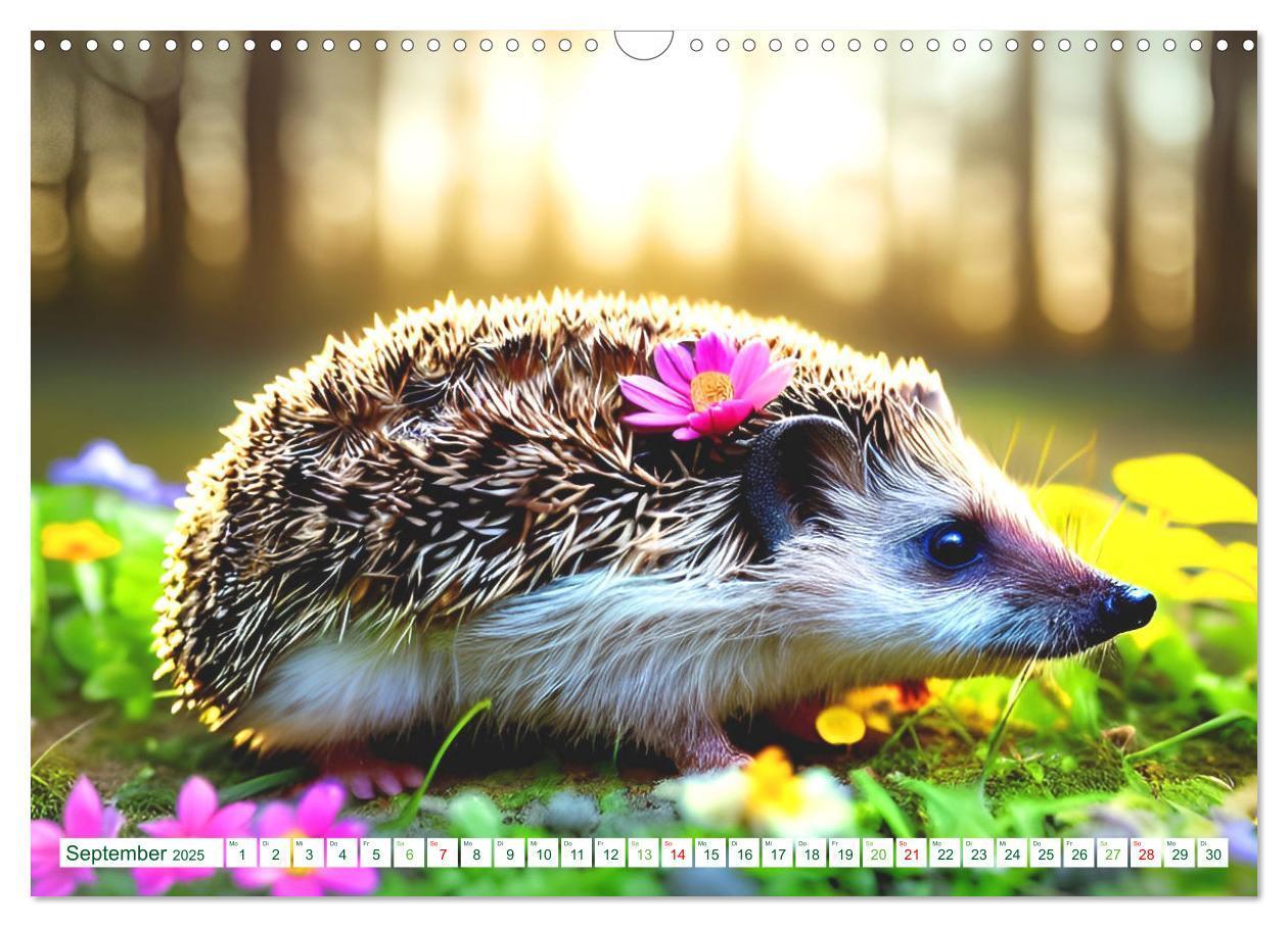 Bild: 9783383868726 | Niedliche Igel (Wandkalender 2025 DIN A3 quer), CALVENDO...