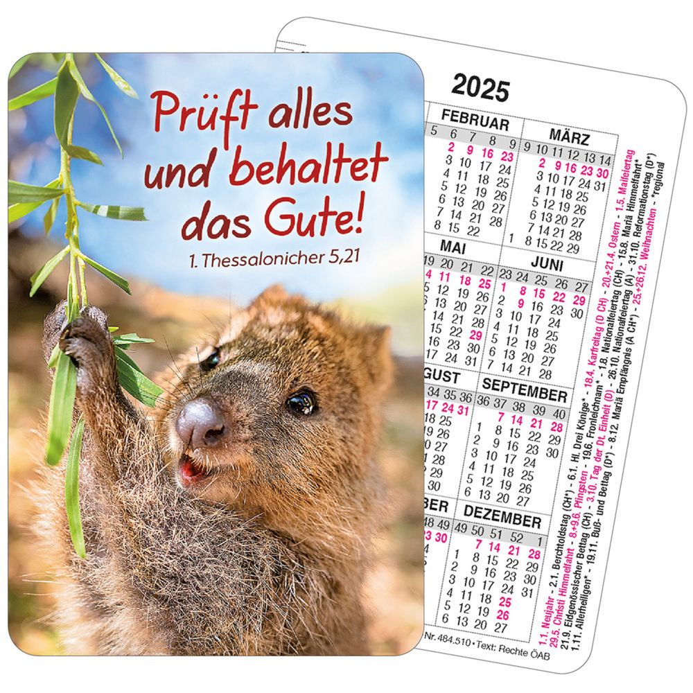 Cover: 9783754851050 | Spielkartenkalender 2025 | für Kinder | Kalender | Kalender | Deutsch