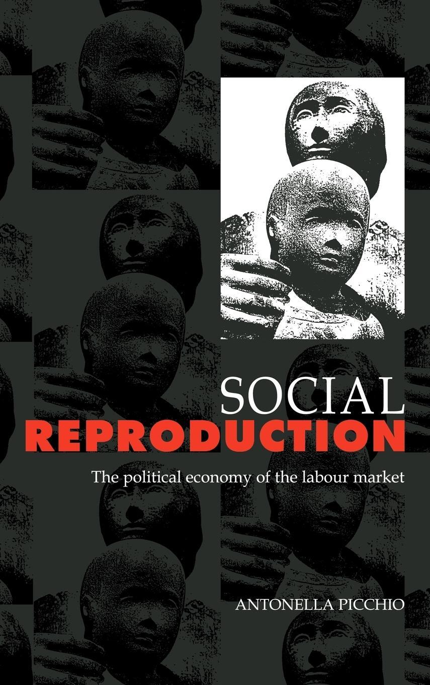 Cover: 9780521418720 | Social Reproduction | Antonella Picchio | Buch | Englisch | 2010