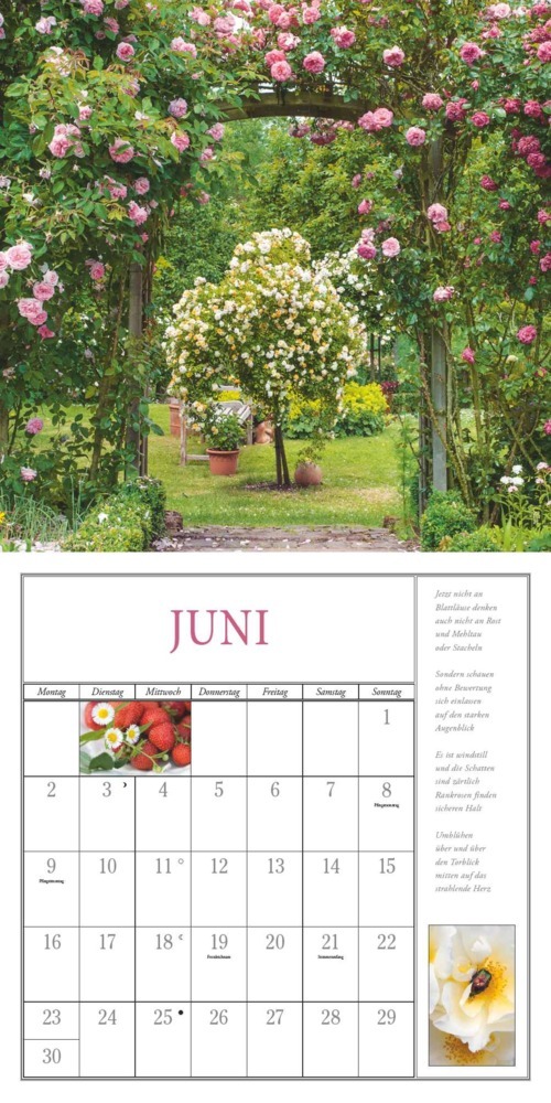 Bild: 4250809652825 | DUMONT - Freude im Garten 2025 Broschürenkalender 2025, 30x30cm,...