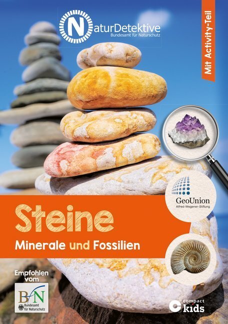 Cover: 9783817419005 | Steine, Minerale &amp; Fossilien | Mit Activity-Teil | Martina Rüter