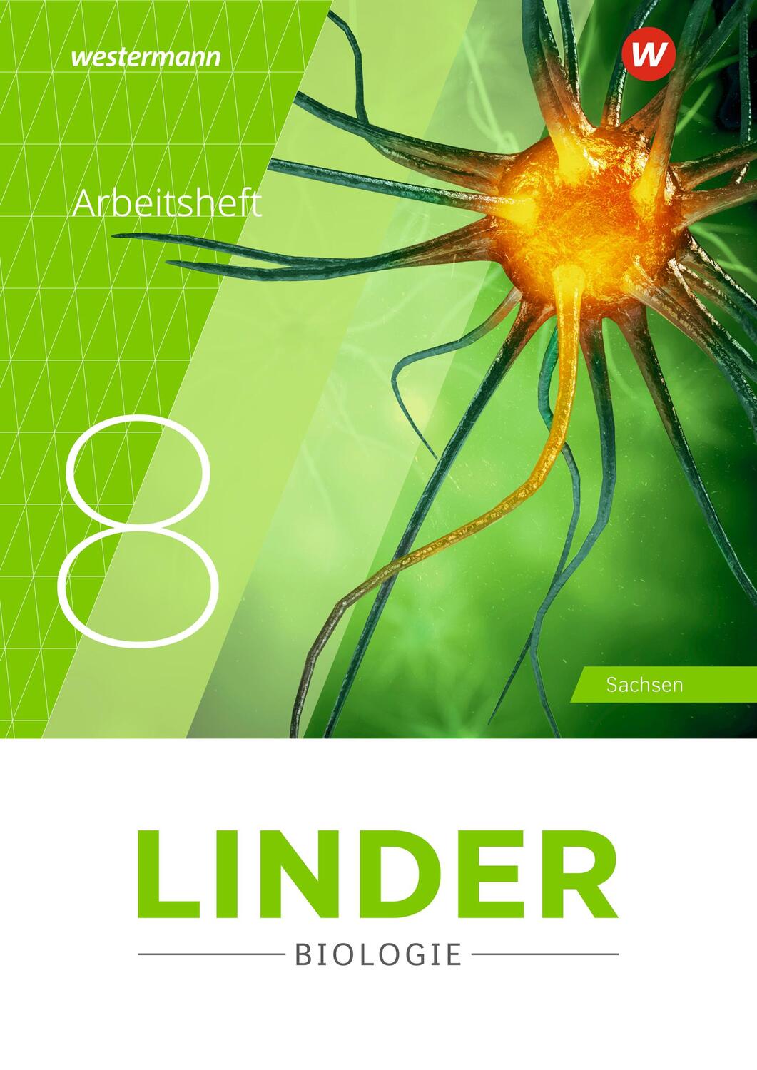Cover: 9783141530483 | LINDER Biologie SI 8. Arbeitsheft. Sachsen | Taschenbuch | 48 S.