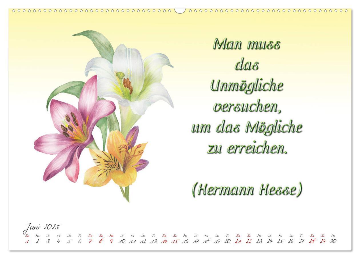 Bild: 9783435397990 | 12 unterhaltsame Zitate für ein schönes Jahr (Wandkalender 2025 DIN...