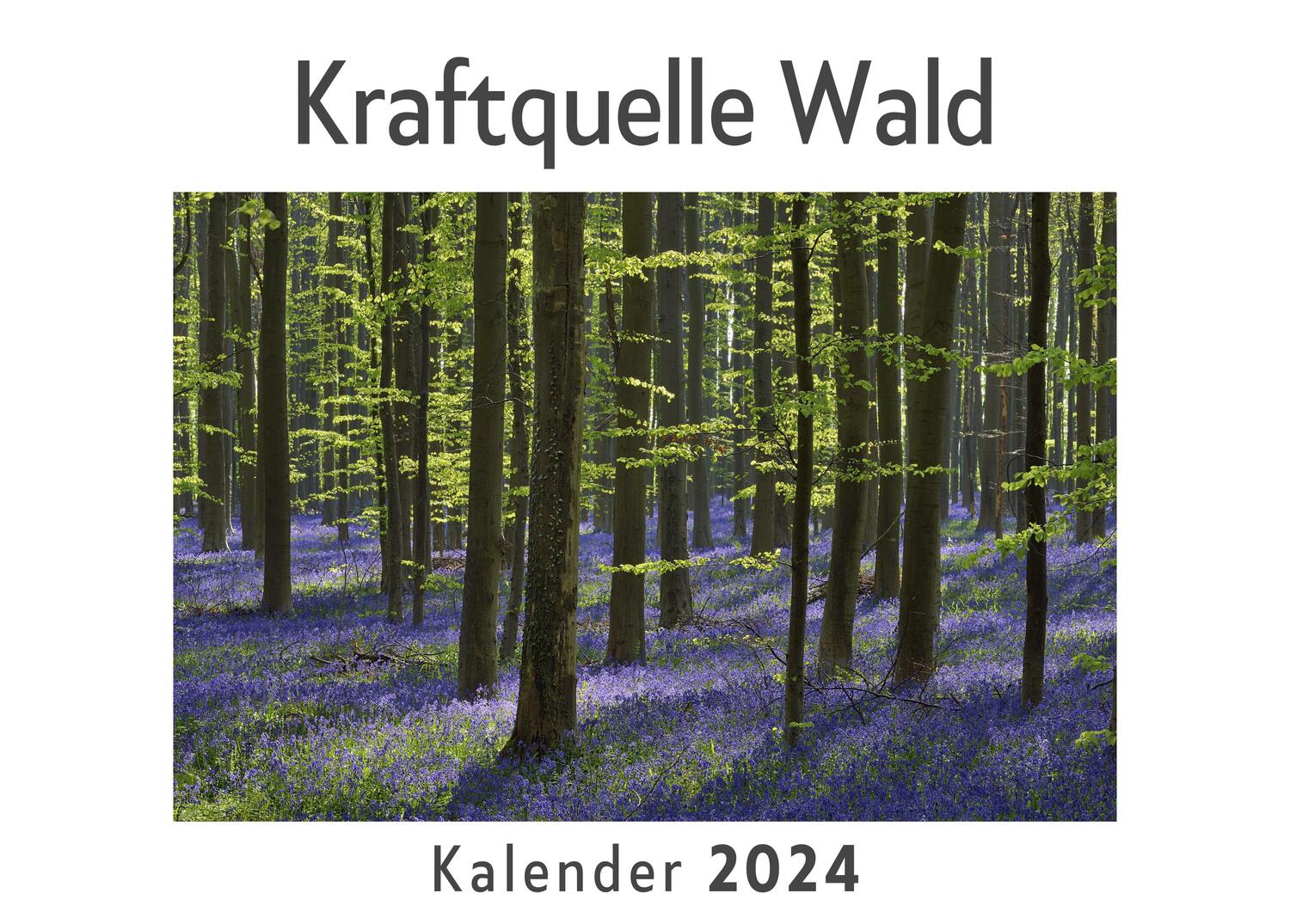 Cover: 9783750544369 | Kraftquelle Wald (Wandkalender 2024, Kalender DIN A4 quer,...