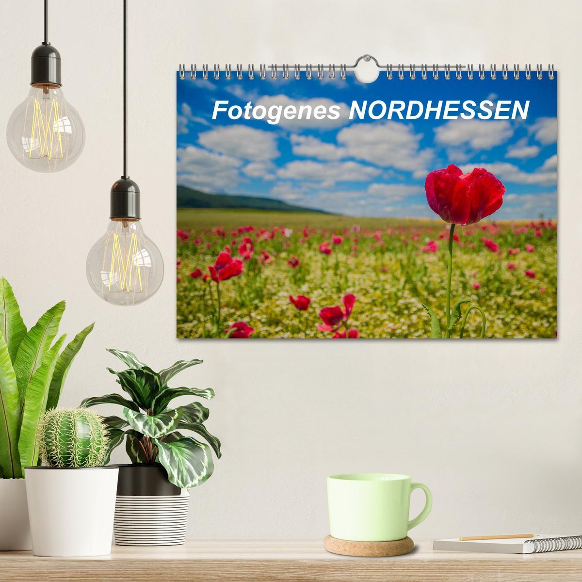 Bild: 9783435325436 | Fotogenes Nordhessen (Wandkalender 2025 DIN A4 quer), CALVENDO...