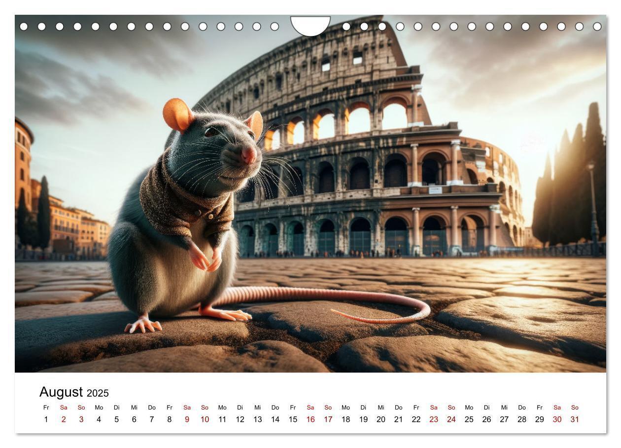 Bild: 9783383787539 | Ratten auf Reisen (Wandkalender 2025 DIN A4 quer), CALVENDO...