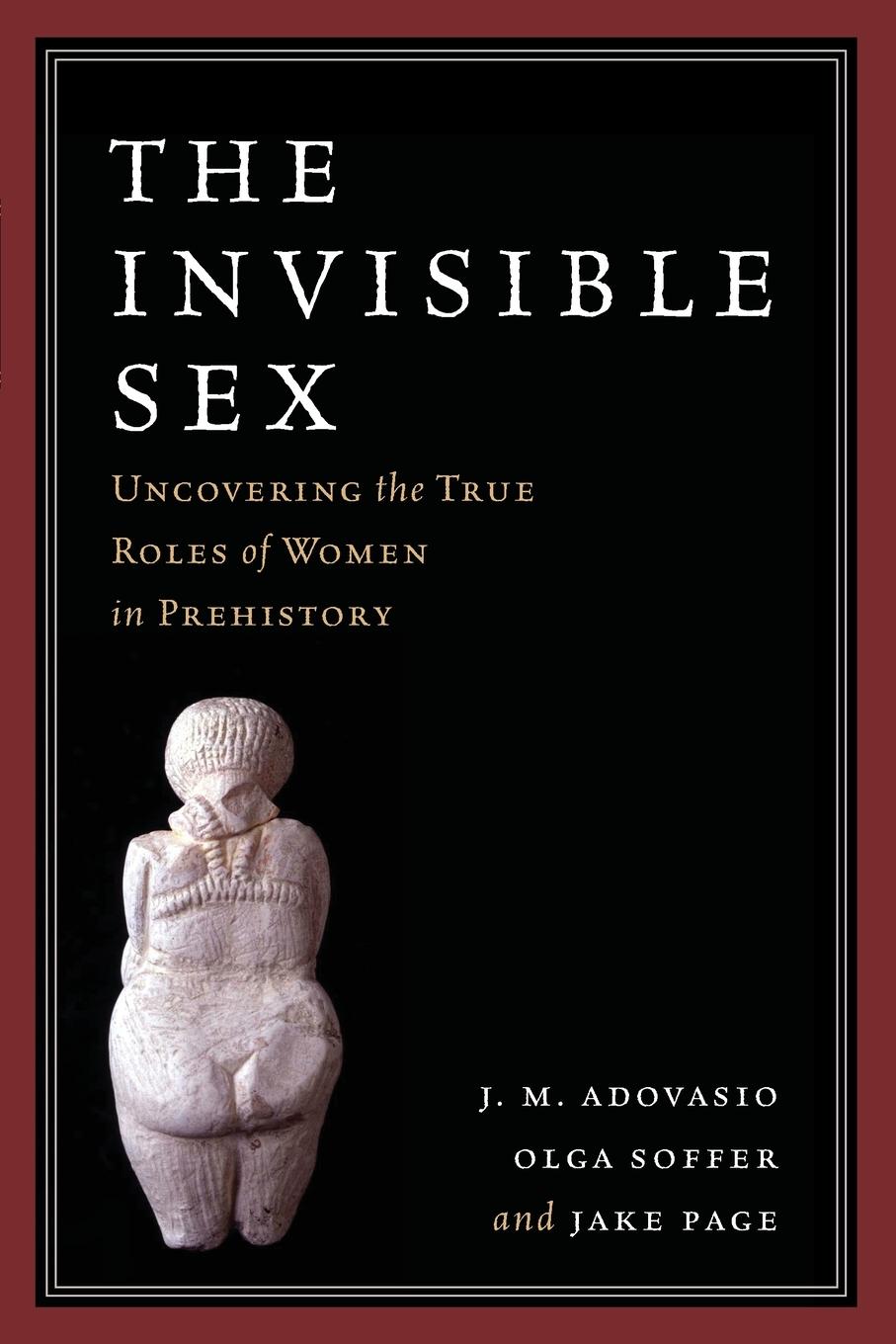 Cover: 9781598743906 | The Invisible Sex | Uncovering the True Roles of Women in Prehistory