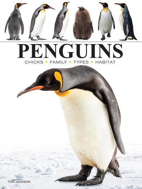 Cover: 9781838863609 | Penguins | Tom Jackson | Taschenbuch | Englisch | 2024 | Amber Books