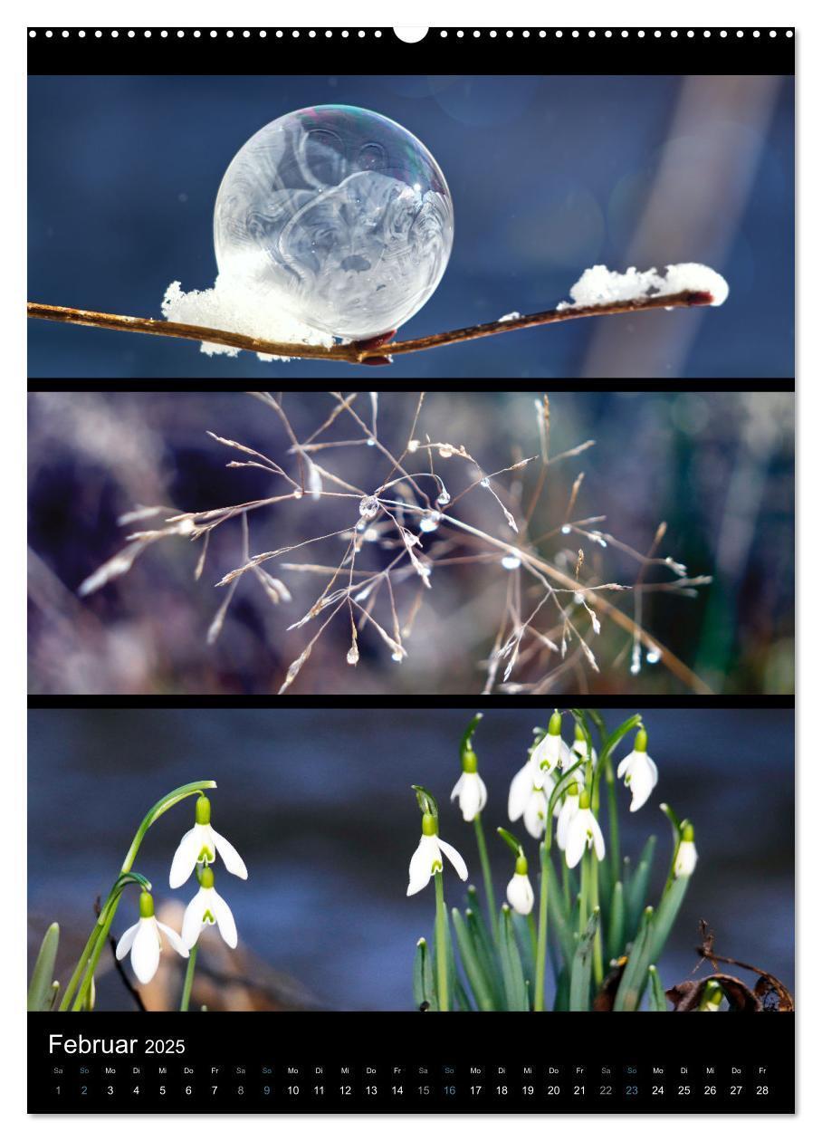 Bild: 9783435914623 | Bezaubernde Farben der Natur (Wandkalender 2025 DIN A2 hoch),...