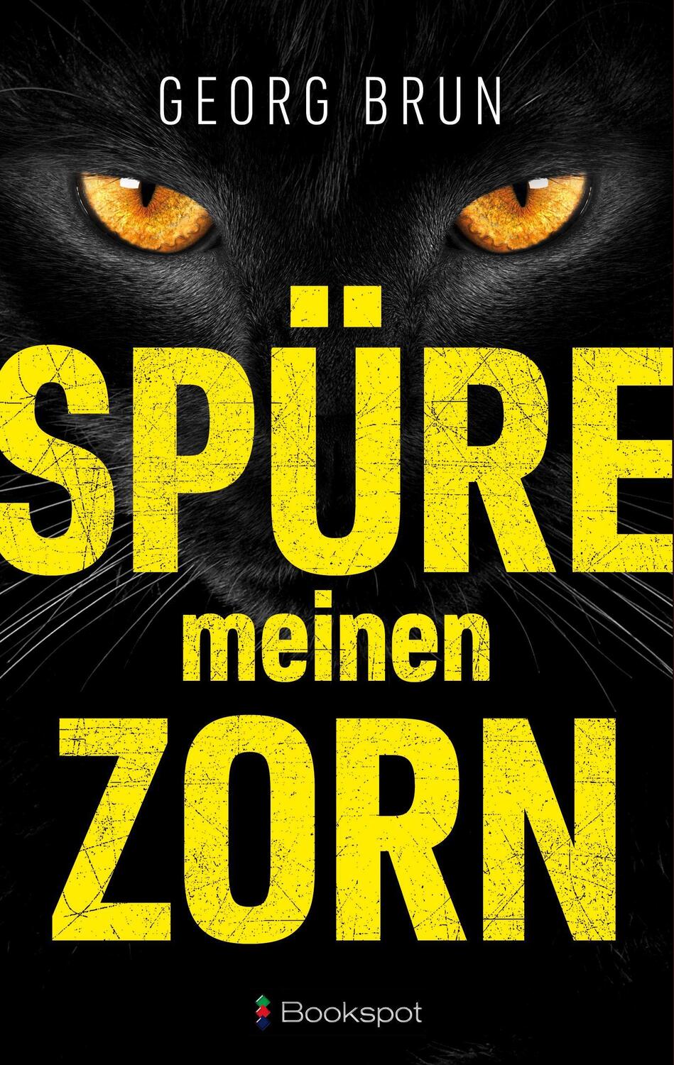 Cover: 9783956691881 | Spüre meinen Zorn | Georg Brun | Taschenbuch | Deutsch | 2023