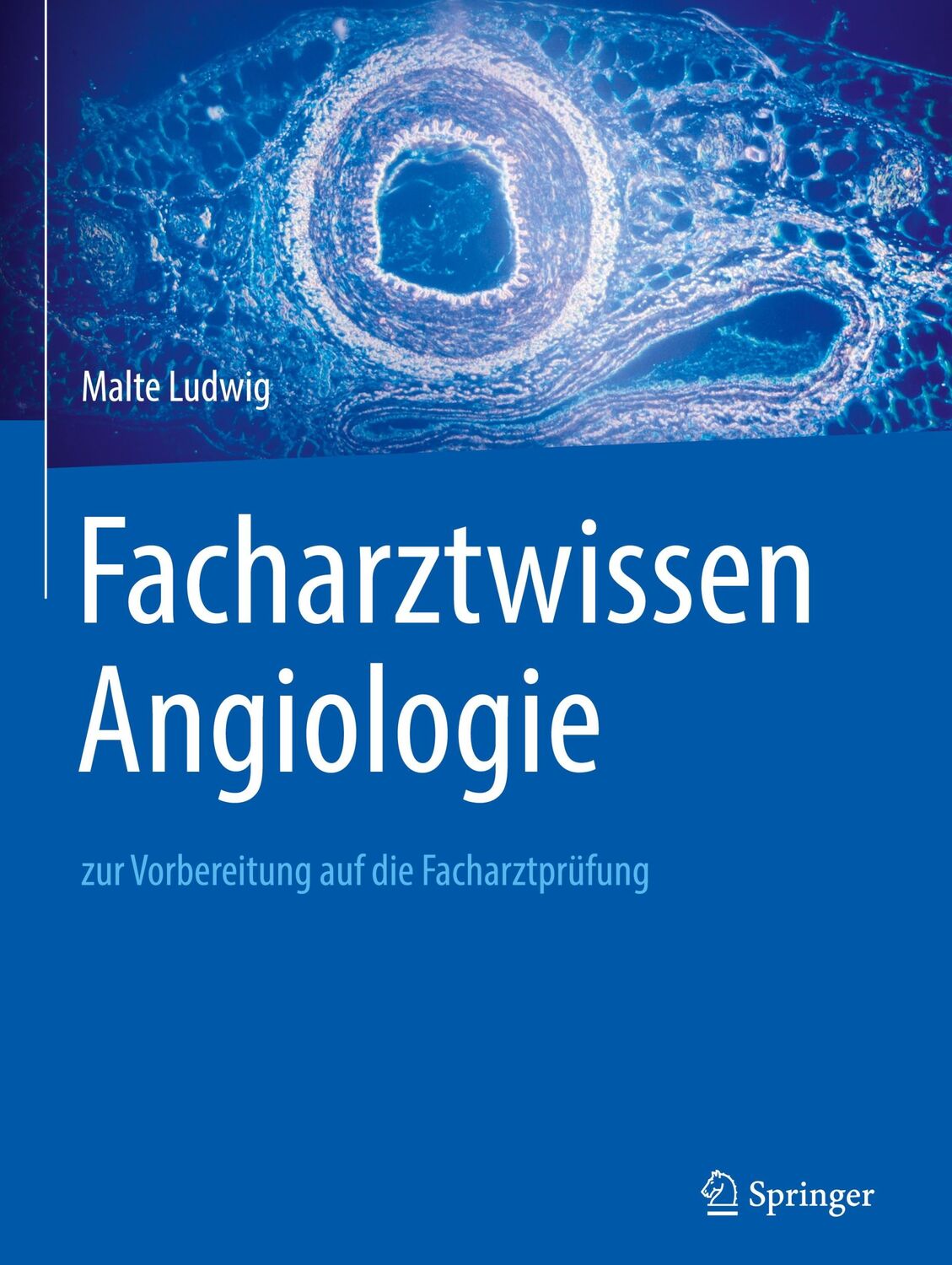 Cover: 9783662584507 | Facharztwissen Angiologie | zur Vorbereitung auf die Facharztprüfung