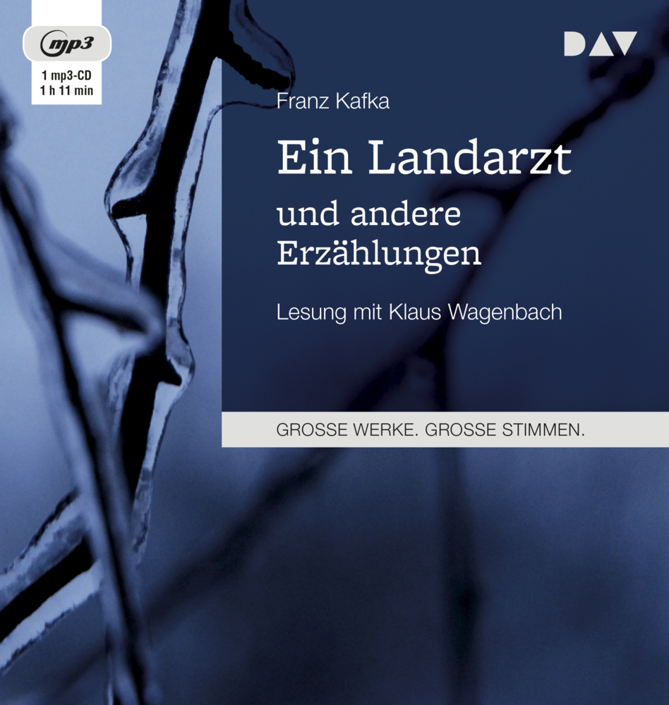 Cover: 9783742400338 | Ein Landarzt und andere Erzählungen, 1 Audio-CD, 1 MP3 | Franz Kafka
