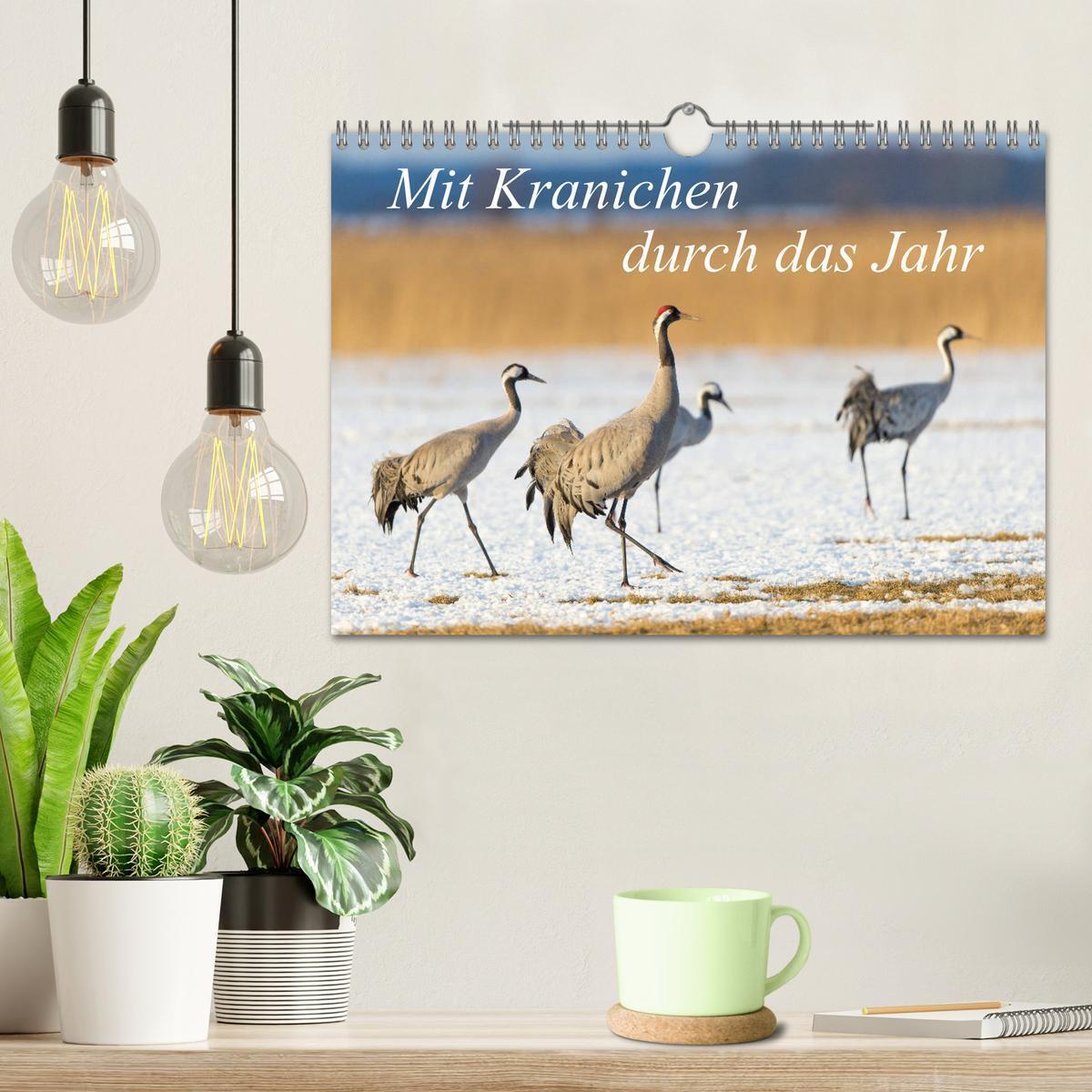 Bild: 9783435421862 | Mit Kranichen durch das Jahr (Wandkalender 2025 DIN A4 quer),...