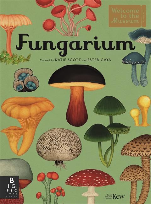 Cover: 9781787415355 | Fungarium | Ester Gaya | Buch | Gebunden | Englisch | 2020
