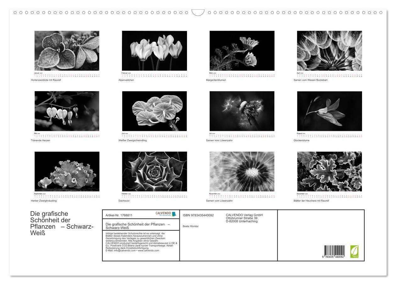 Bild: 9783435440092 | Die grafische Schönheit der Pflanzen ¿ Schwarz-Weiß (Wandkalender...