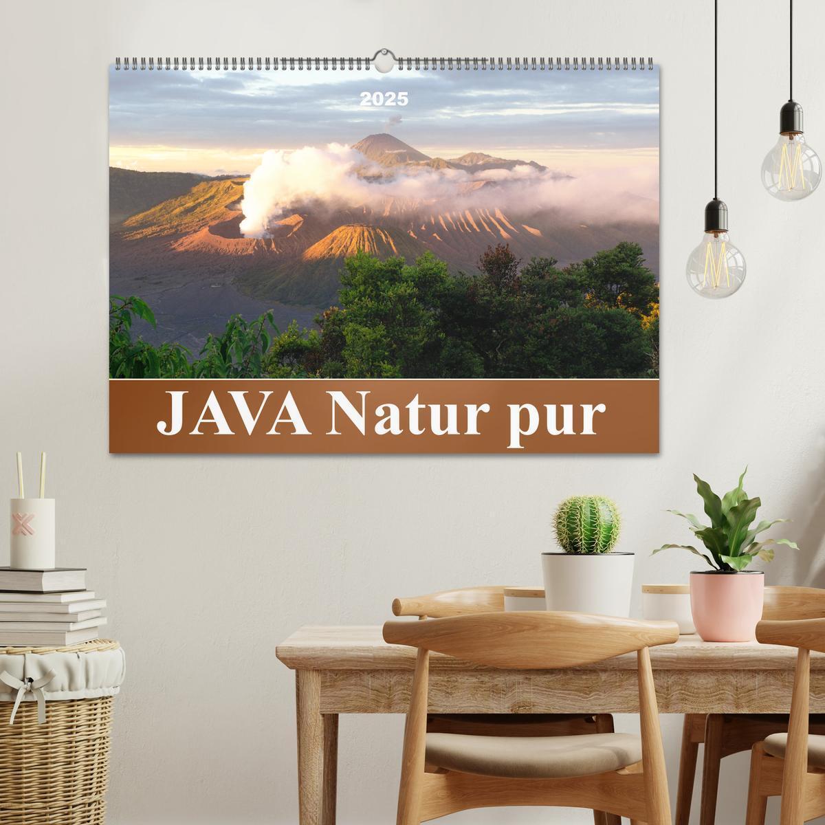 Bild: 9783435043163 | JAVA Natur pur (Wandkalender 2025 DIN A2 quer), CALVENDO...