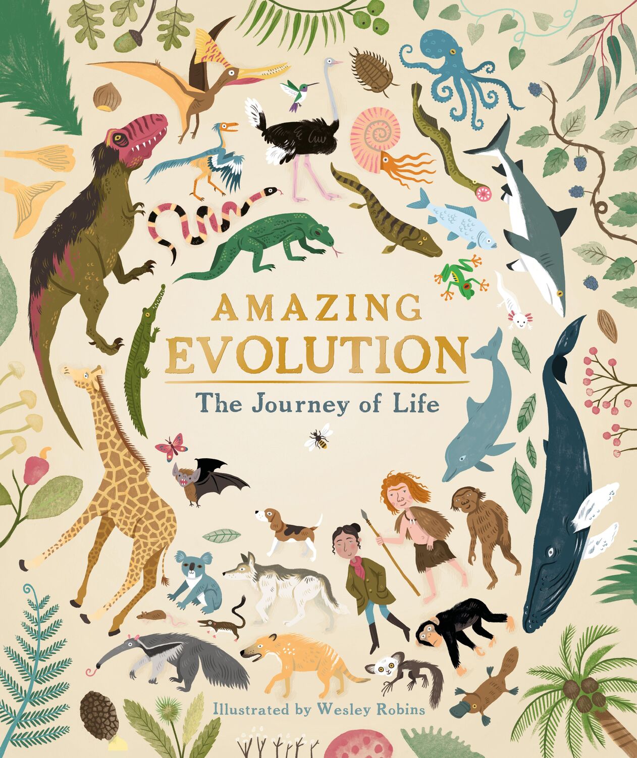 Cover: 9781782406365 | Amazing Evolution | The Journey of Life | Anna Claybourne | Buch