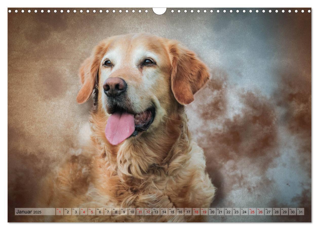 Bild: 9783435293933 | Jagdhunde im Portrait (Wandkalender 2025 DIN A3 quer), CALVENDO...